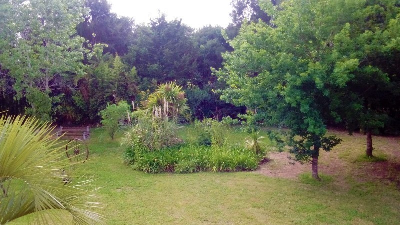 Excelente chacra en Ruta 104 Manantiales en venta y alquiler